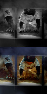 Minnesota Twins Together