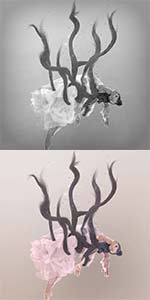 Motion Poems She Shakes Chilies'